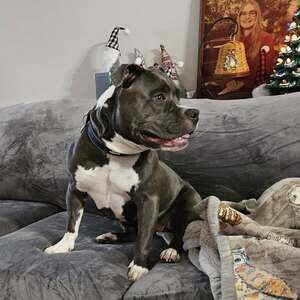 Meet your Posher, Ruth